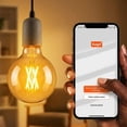 thumbnail image 1 of Foco Smart Wifi Edison Retro Globo Led 4W G80 Dimeable, 1 of 7