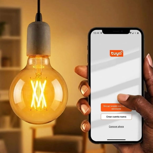 Foco Smart Wifi Edison Retro Globo Led 4W G80 Dimeable