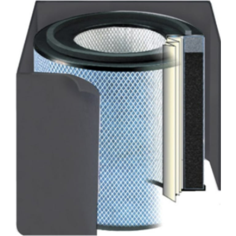 Austin air cleaner replacement filter deals