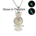 thumbnail image 5 of Owl Glow in Dark Necklace Silver Plated Women Ginger Lyne Collection, 5 of 5