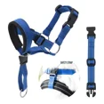thumbnail image 2 of Cabeza De Perro Halter Rojo Tallas (m: 8.25-10.25 Hocico)2pc, 2 of 8