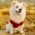 thumbnail image 2 of Collier Perlé pour Chien / Collier Perlé Réglable Durable / Collier pour Animaux de Compagnie Mignon / Bijoux pour Fille Rose Accessoires pour Chiot / Collier pour Animaux Cadeau 16 Pouces, 2 of 6