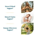thumbnail image 4 of Pattern Wellness Ashwagandha Complex, Stress, Energy & Recovery Support, 60 Count, 4 of 6