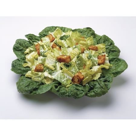 Food - Caesar salad prepared with Romaine lettuce dressing parmesan cheese and croutons studio Stretched Canvas - Ed Young  Design Pics (16 x