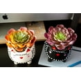 thumbnail image 6 of Flora Bunda CS2634E-WH Faux Succulent in 4.75' Small White Cat Ceramic Planter, 6 of 6