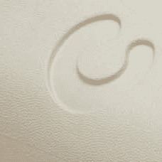 Bone
