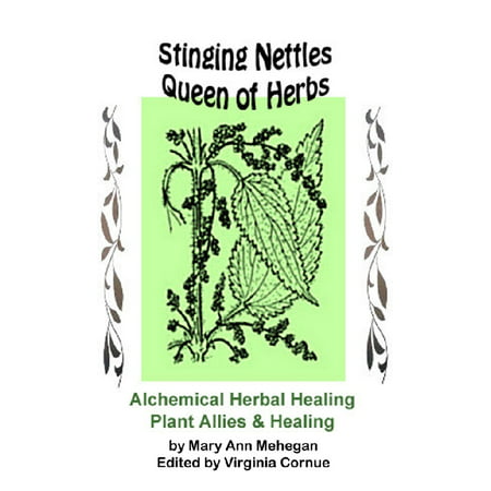 Stinging Nettles - Queen of Herbs - eBook