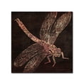 thumbnail image 2 of Trademark Fine Art "Dragonfly" Canvas Art by Color Bakery, 2 of 4