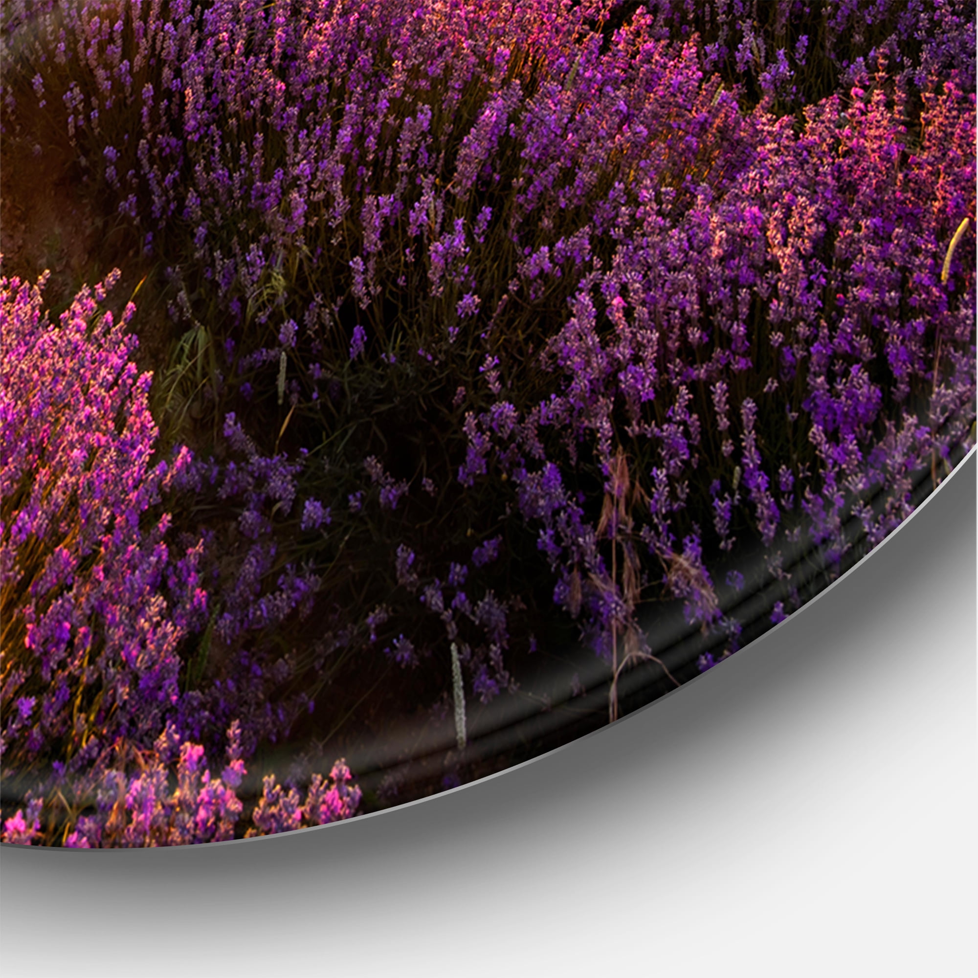 Designart 'Dramatic Clouds and Sunrise Over Lavender Field IV' Farmhouse Circle Metal Wall Art 29x29 - Disc of 29