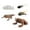 style D, variant on montessori Cycle Figurines Playset Frogs Life Cycle Model for Preschool Children style A