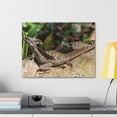 thumbnail image 4 of Basilisk Hunting Basilisk on Hunt Print Animal Wall Art Wildlife Canvas Prints Wall Art Ready to Hang Unframed, 4 of 18