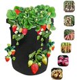 thumbnail image 5 of (30X35CM (6 puertos) 26L/7 galones, mediano negro) Bolsa para plantar en jardín Bolsa para verduras de un galón, contenedor para plantar fresas de fieltro transpirable, bolsa para plantas negra, 5 of 5