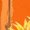 Orange-C, variant on Penkiiy Orange Shirt Kids,Kid Shirt Kid T-shirt Printed Round-Neck Comfortable Loose T-shirt Short Sleeve Blouse Casual Tops for 4-16 Years