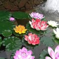 thumbnail image 4 of 5 uds lirio de agua flotante Artificial Eva flor de loto estanque decoración 10cm (rojo/amarillo/azul/rosa/rosa claro), 4 of 4