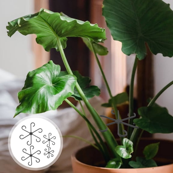 LOLIPPYY 12-Pack Black Plant Support Clips for Indoor Climbing Plants, Strong and Hold