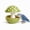 Green, variant on EVHRZN Cute Mushroom Ceramic Bird Water Dispenser & Seed Bowl, Premium Glazed Anti-Dust Feeding Dish for Small Parrots, Conures, Hamsters, Heavy Duty Cage Accessory