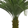 thumbnail image 4 of Vintage Home Artificial Faux Real Touch 60'' Tall Cycas Palm Tree in sustainable planter, 4 of 6