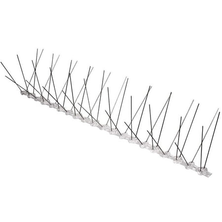 bird spike strips control pestrol spikes nz za midrand proofing narrow pest
