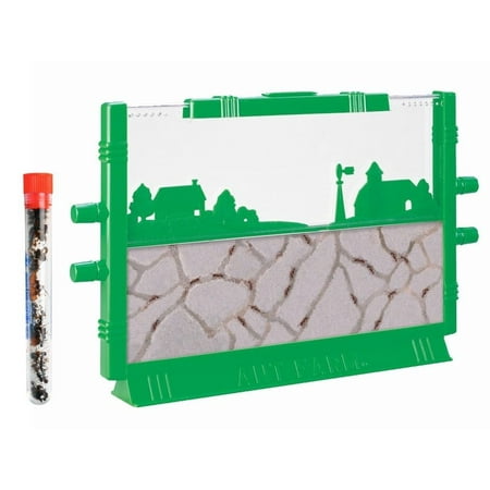 Uncle Milton Ant Farm: LIVE Ant Habitat with FREE 25 Ants: Certificate to Redeem