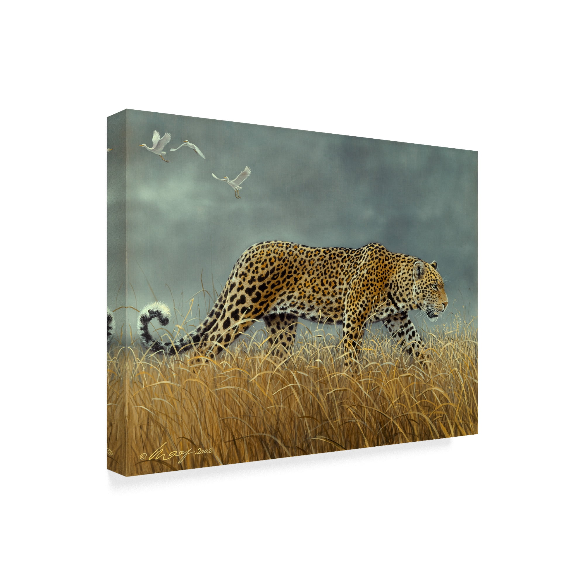 Trademark Fine Art 'Leopard Walking' Canvas Art by Harro Maass
