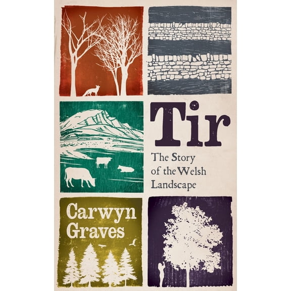 Tir: The Story of the Welsh Landscape, (Hardcover)