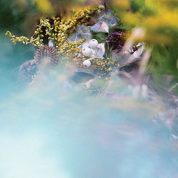 bEEdEEgEE - Sum/One - Vinyl