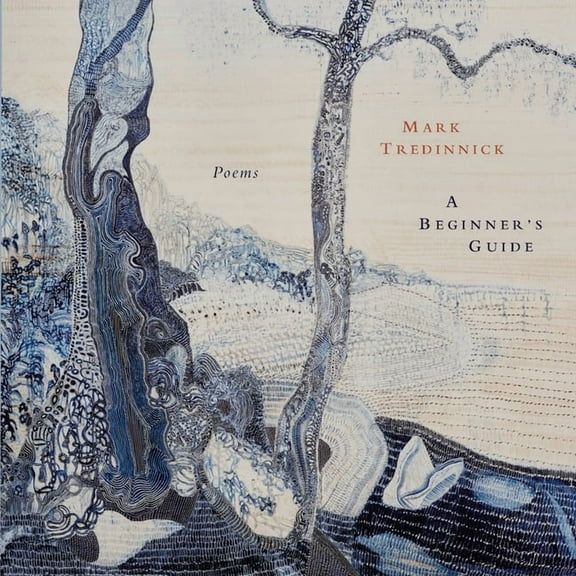 A Beginner's Guide, (Paperback)