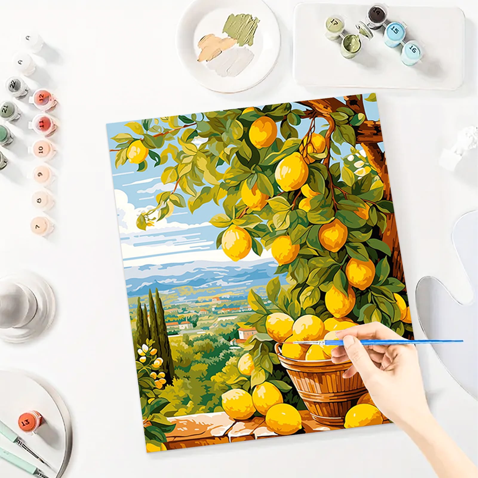 JYLMOOD DIY Paint by Number for Adults, Easy Painting by Numbers for Gift Home Wall Decor 16x20in without Frame, Colored Canvas