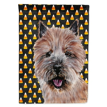 Norwich Terrier Candy Corn Halloween House Flag