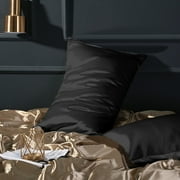Ntbay 2 Pack Silky Satin Standard Pillowcases for Hair and Skin, Luxury and Soft Pillow Cases with Envelope Closure, 20 x 26, Black