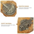 thumbnail image 2 of SHISUYAN Creative Resin Reptile Box Decor for DIY Light Brown Ornament 2Pcs, 2 of 8