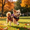 thumbnail image 7 of Aoznliie Dog Clothes, Halloween Pumpkin Lace Dress for Small Cats Dogs, L 8.8-13.2lb Cute Pet Outfit for Halloween Party & Pet Cosplay, Black, 7 of 7