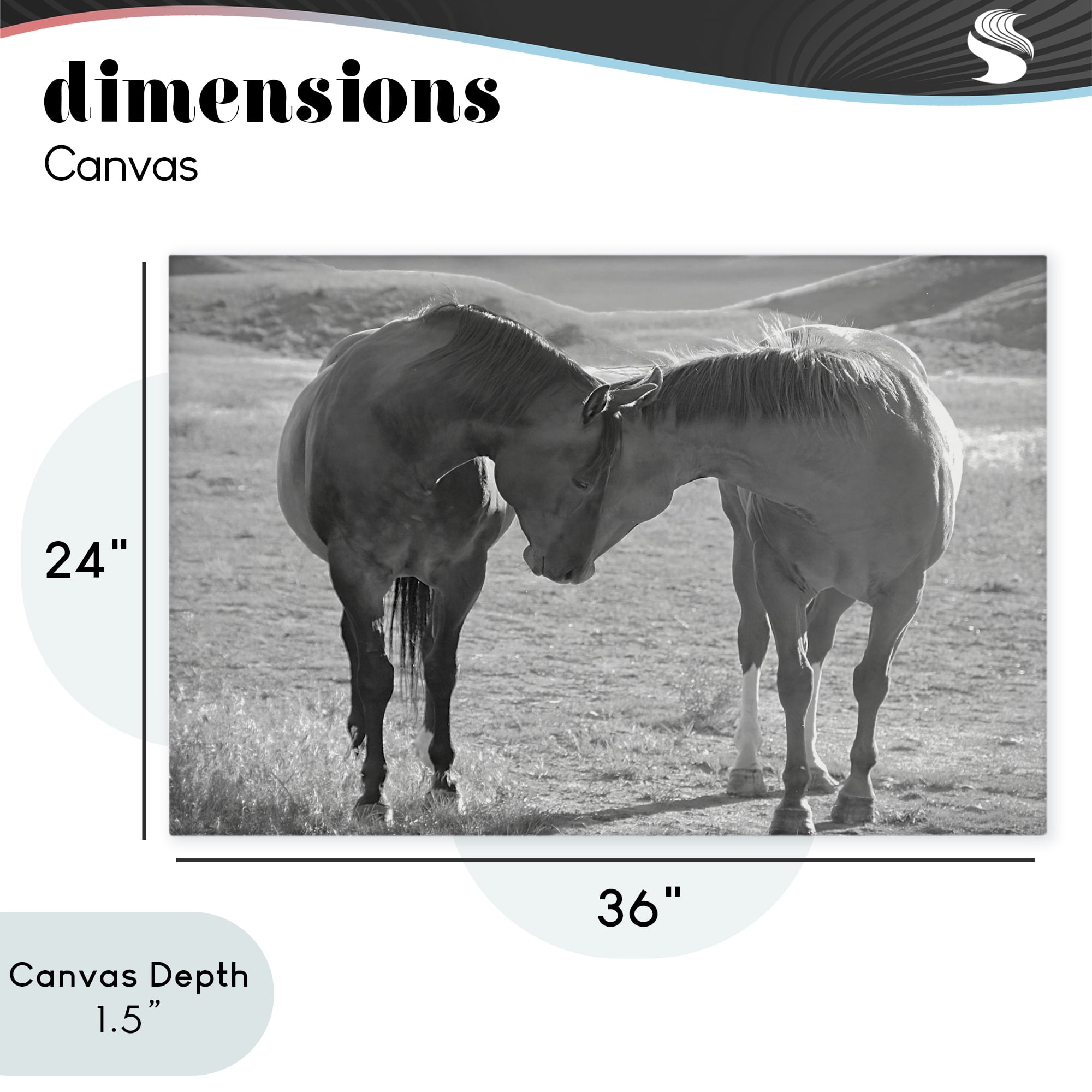 Stupell Industries Sweet Nothings Bond Between Horses Canvas Wall Art, design by Steve Toole