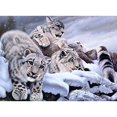 thumbnail image 1 of Cuadros Decorativos 5D bricolaje completo taladro diamante pintura nieve tigres punto de cruz bordado Kits hogar pared decoración Ehuebsd Nuevos Originales, 1 of 6