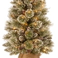thumbnail image 4 of National Tree Company Bristle Pine 3 Foot Glittery Christmas Tree with Lights, 4 of 5