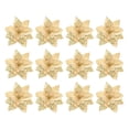 thumbnail image 1 of Inteprter 12 paquetes / lote Agregar encanto con flor de Navidad - Amplia aplicación para cualquier ocasión Flor de imitación de Navidad Kits de decoración para fiestas dorado, 1 of 6