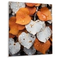thumbnail image 2 of Designart "White and Orange Forest Leaves in Aspen Colorado Landscape" Botanical Metal Art Living Room, 2 of 5