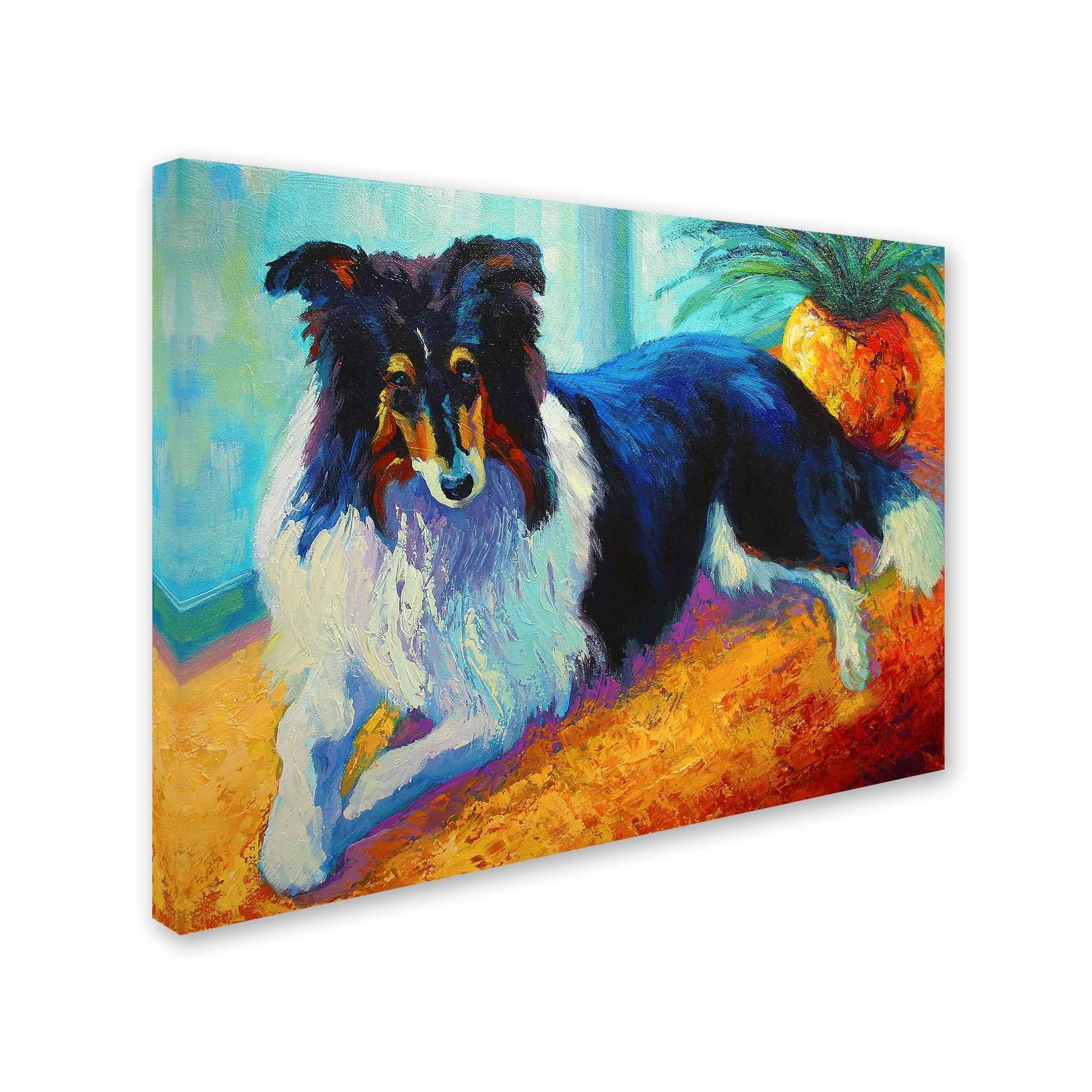 Trademark Fine Art 'Collie' Canvas Art by Marion Rose