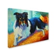 thumbnail image 2 of Trademark Fine Art 'Collie' Canvas Art by Marion Rose, 2 of 3