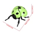 thumbnail image 4 of ICQOVD Realistic Insect Model Educational Display Tool, 4 of 8