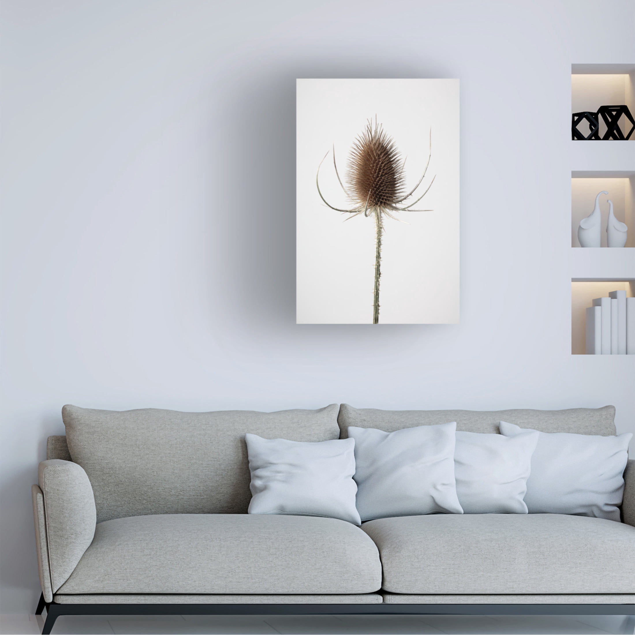 Trademark Fine Art Pictufy Studio Dried Canvas Wall Art