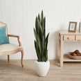 thumbnail image 2 of Nearly Natural Plasitc 51" Sansevieria Artificial Plant in White Planter, Green, 2 of 3