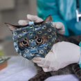 thumbnail image 3 of Cat Muzzle | Cat Muzzle For Nail Trimming | Cat Muzzles Breathable Cat Mouth Cover Cat Grooming Restraint Bags Anti Bite Anti Meow, 3 of 5