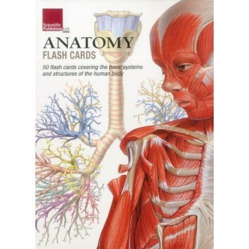 Anatomy Flash Cards