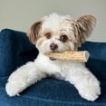 thumbnail image 5 of Elk Antler Dog Chews | All-Natural Whole and Split Elk Antler Chews for Dogs, 5 of 11