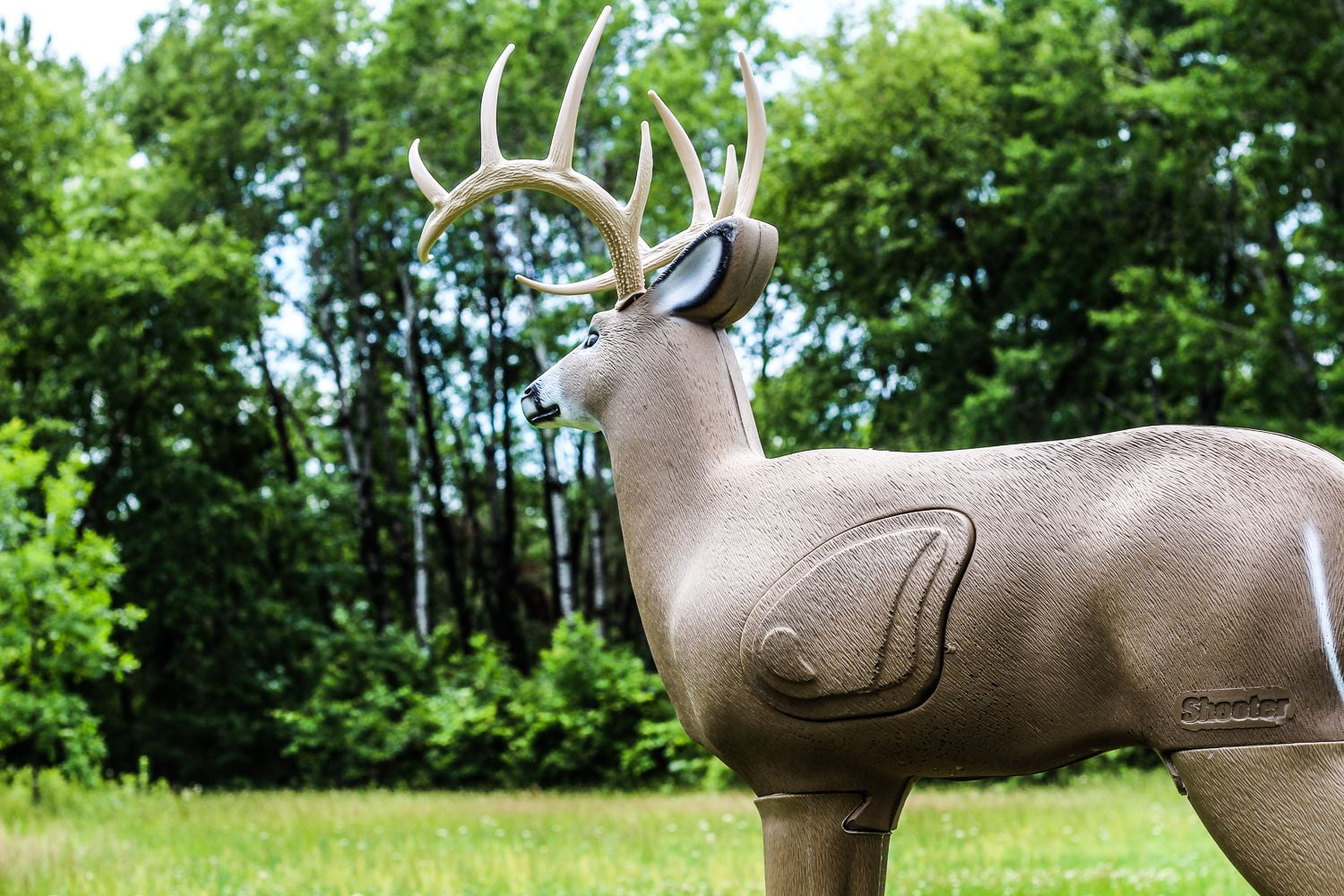 Shooter Buck 3D Deer Archery Target