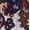Brown Floral Print, variant on Scenario Women's and Women's Plus Short Sleeve Pleated Embroidered Printed Top, Sizes XS-4X