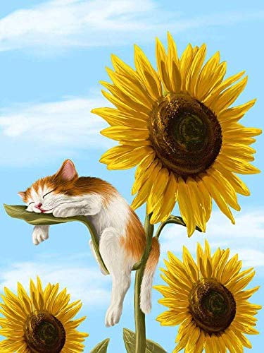 Sunflower Art Paint By Number Kit DIY Digital Oil Painting On Canvas Linen 