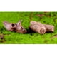 thumbnail image 3 of Kit de bricolaje de 5 piezas con diseños variados para casa de muñecas en miniatura de jardín de hadas. Diferentes estilos. Decoración de mini casas con animales de la naturaleza melocotón, 3 of 9
