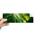 thumbnail image 1 of Sunshine Nature Photography Rectangle Bumper Sticker Notebook Window Decal, 1 of 1